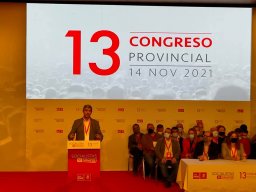 secretarioprovincialpsoetoledo13congresoprovincial14n